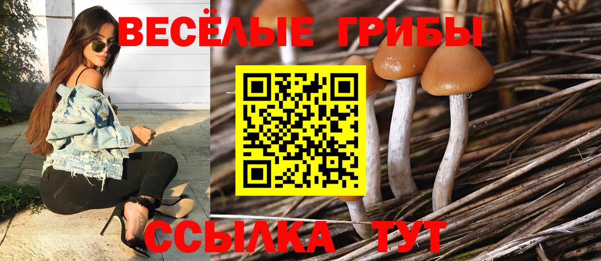 Псилоцибиновые грибы мицелий Лянтор