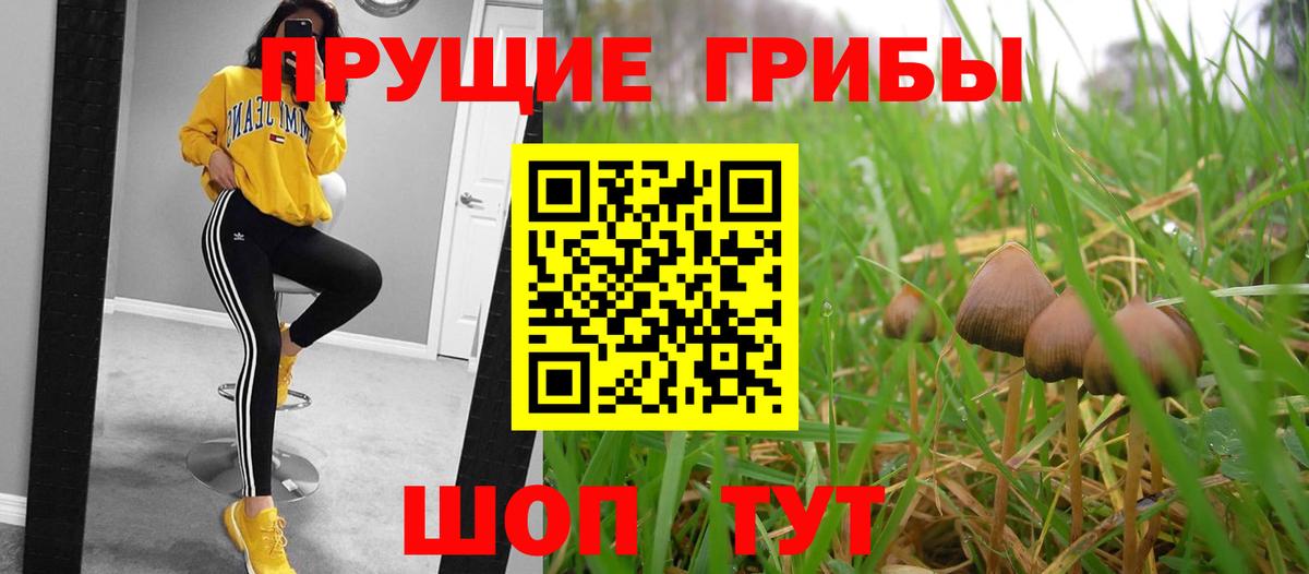 Лянтор  Галлюциногенные грибы Cubensis  Вход с VPN 