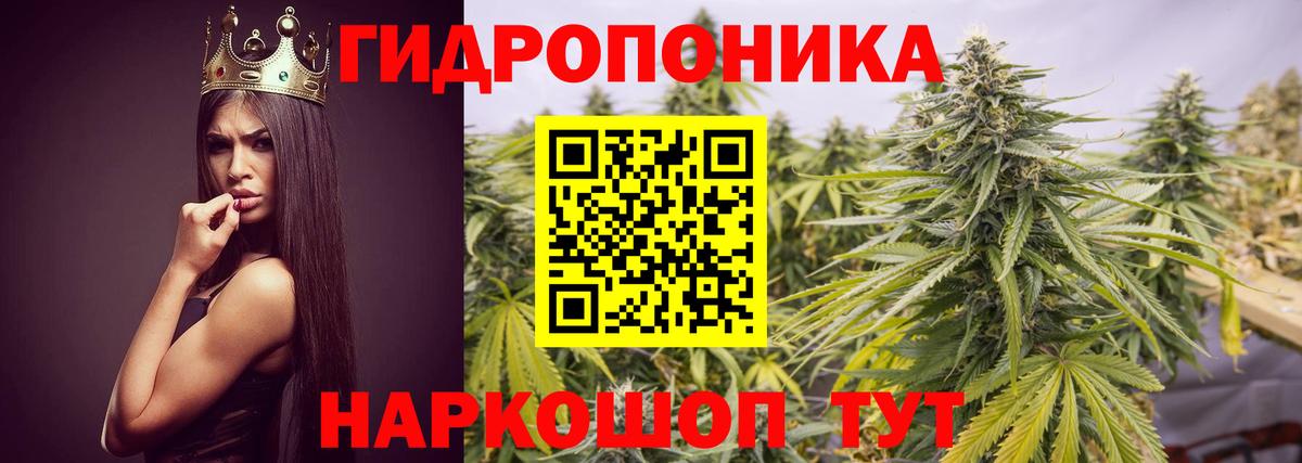 Шишки марихуана White Widow Лянтор